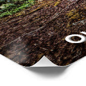 Rain Forest ・ Olympic National Park, Washington Poster (Ecke)