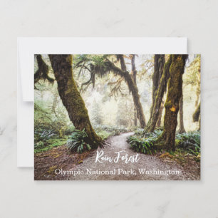 Rain Forest ・ Olympic National Park, Washington Postkarte