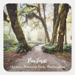 Rain Forest ・ Olympic National Park, Washington Quadratischer Aufkleber