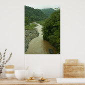 Rain Forest River Poster (Küche)