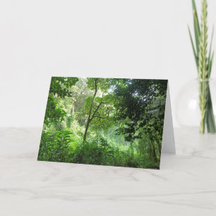 Rain in the Rainforest Karte
