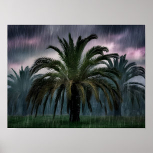 Rain-Kissed Oasis Poster