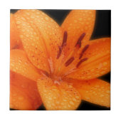 Rain-Kissed Orange Asiatic Tiger Lilies Fliese (Vorderseite)