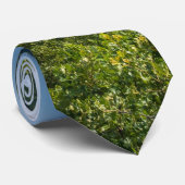 Rain kommt zu Petit Jean Neck Tie Krawatte (Gerollt)