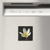 Rain Lily Magnet (In Situ (Geschirrspüler))