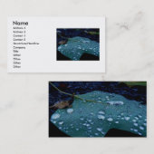 Rain senkt die Visitenkarte (Vorne/Hinten)