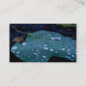 Rain senkt die Visitenkarte (Rückseite)