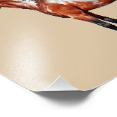 Rain Spirit - Pferd, stehend - Poster,  Fotodruck (Ecke)