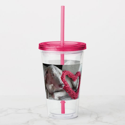 Rain the Weimaraner Dog - Acrylic Tumbler Acryltrinkbecher (Vorderseite)