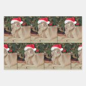 Rain the Weimaraner Hunde Weihnachtswrapping Papie Geschenkpapier Set (Vorderseite 2)