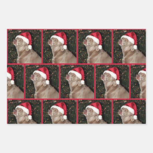 Rain the Weimaraner - Weihnachtswrapping Paper Geschenkpapier Set (Vorderseite)