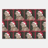 Rain the Weimaraner - Weihnachtswrapping Paper Geschenkpapier Set (Vorderseite 3)