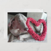 Rain the Weimaraner's I Heart You Postcard Postkarte (Vorne/Hinten)