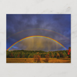 Rainbow #0954 postkarte