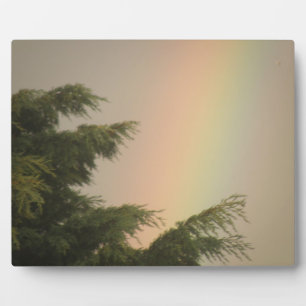 Rainbow and Trees Plaque Fotoplatte