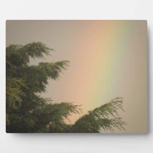 Rainbow and Trees Plaque Fotoplatte (Vorderseite)