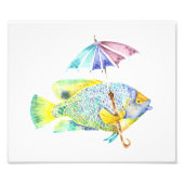 Rainbow Angel Fisch Foto Pinakothek Züst (Vorne)