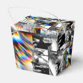 Rainbow Assault Fvor Box Geschenkschachtel (Rückseite)