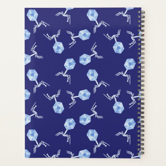 Rainbow Bakteriophage Planer (Rückseite)