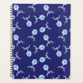 Rainbow Bakteriophage Planer