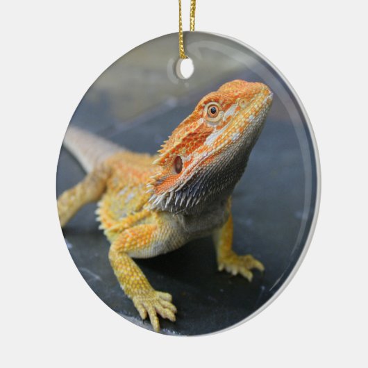 Rainbow Bearded Dragon Keramik Ornament (Links)