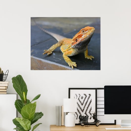Rainbow Bearded Dragon Poster (Heimbüro)