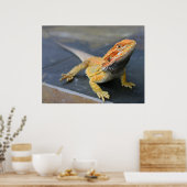 Rainbow Bearded Dragon Poster (Küche)