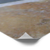 Rainbow Bearded Dragon Poster (Ecke)