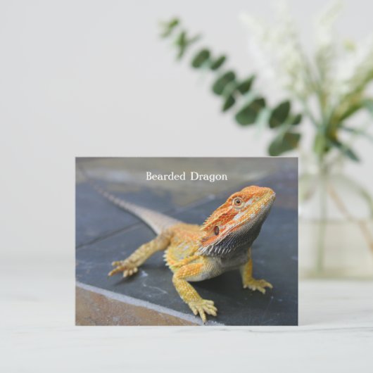 Rainbow Bearded Dragon Postkarte (Stehend Vorderseite)