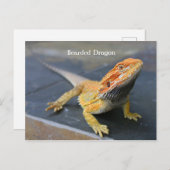 Rainbow Bearded Dragon Postkarte (Vorne/Hinten)