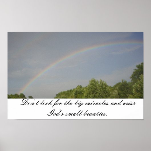 Rainbow Beauties Poster (Vorne)