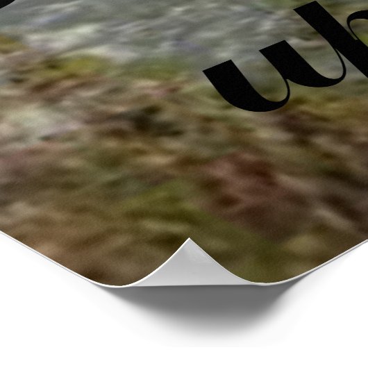 Rainbow Bible Scripting Poster (Ecke)