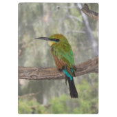 Rainbow-Bienenfresser, Australien Klemmbrett (Rückseite)