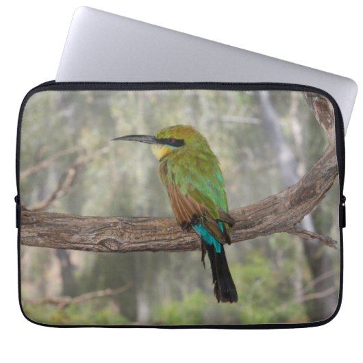 Rainbow-Bienenfresser, Australien Laptopschutzhülle (Vorderseite)