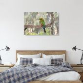 Rainbow-Bienenfresser, Australien Leinwanddruck (Insitu (Schlafzimmer))