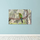 Rainbow-Bienenfresser, Australien Leinwanddruck (Insitu (Holzboden))