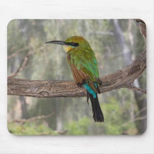 Rainbow-Bienenfresser, Australien Mousepad (Vorne)