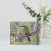 Rainbow-Bienenfresser, Australien Postkarte (Stehend Vorderseite)