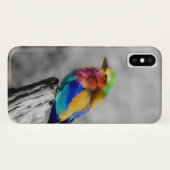 Rainbow Bird Case-Mate iPhone Hülle (Rückseite (Horizontal))
