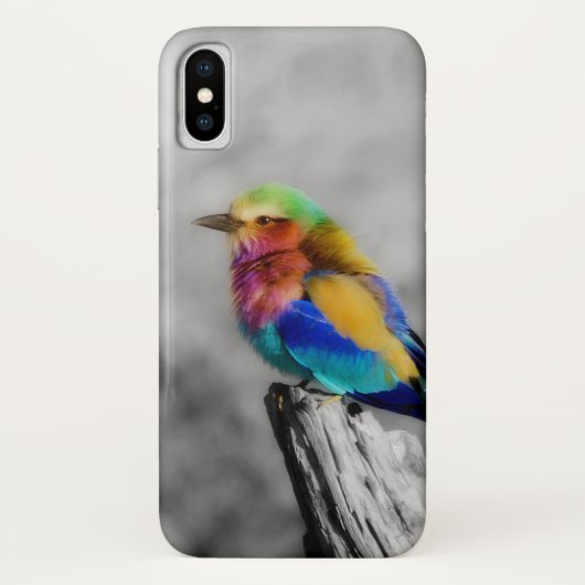 Rainbow Bird Case-Mate iPhone Hülle (Rückseite)