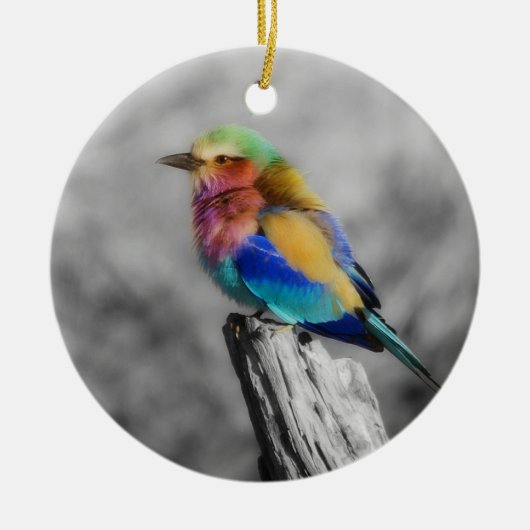 Rainbow Bird Keramikornament (Vorne)