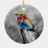 Rainbow Bird Keramikornament (Hinten)