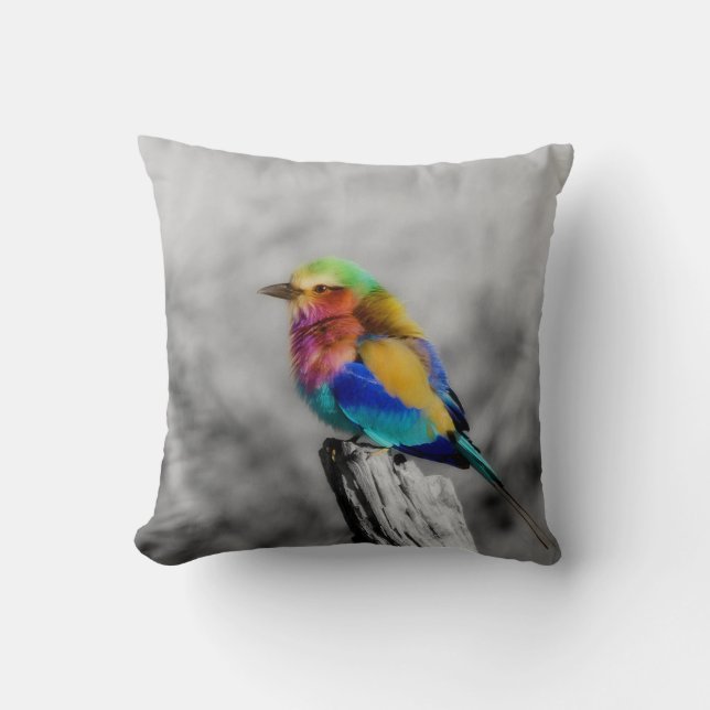 Rainbow Bird Kissen (Vorderseite)