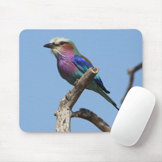 Rainbow Bird Mouse Pad Mousepad (Mit Mouse)
