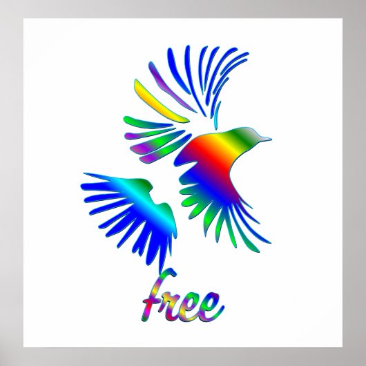 Rainbow Bird Poster (Vorne)