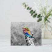 Rainbow Bird Postkarte (Stehend Vorderseite)