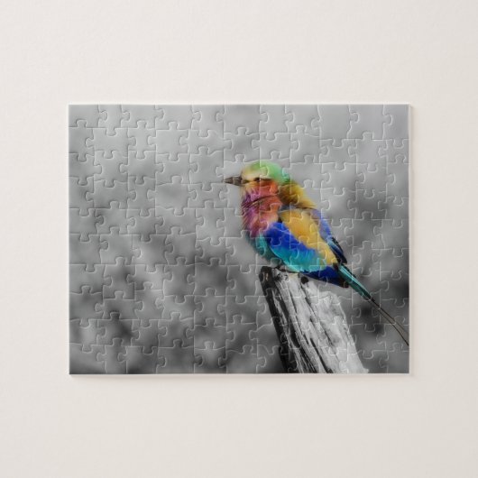 Rainbow Bird Puzzle (Horizontal)
