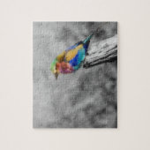 Rainbow Bird Puzzle (Vertikal)
