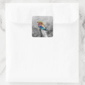 Rainbow Bird Quadratischer Aufkleber (Tasche)