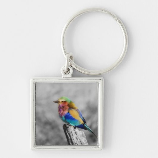 Rainbow Bird Schlüsselanhänger (Vorne)